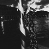 s_0010.jpg