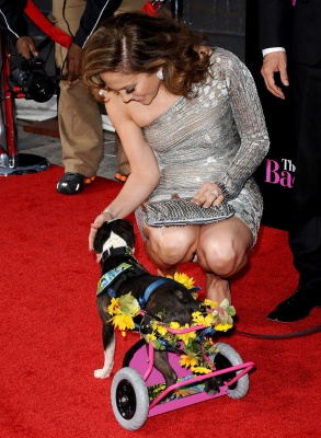 jennifer_0080.jpg
